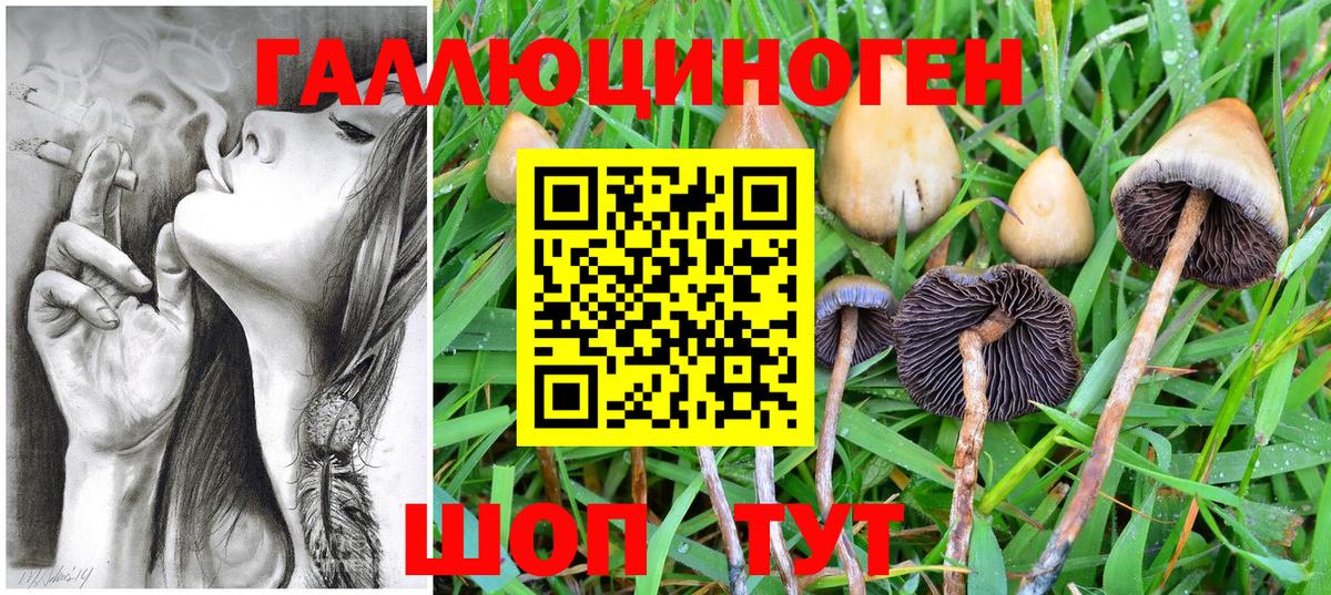 Галлюциногенные грибы прущие грибы  Вход с VPN  Кудрово 